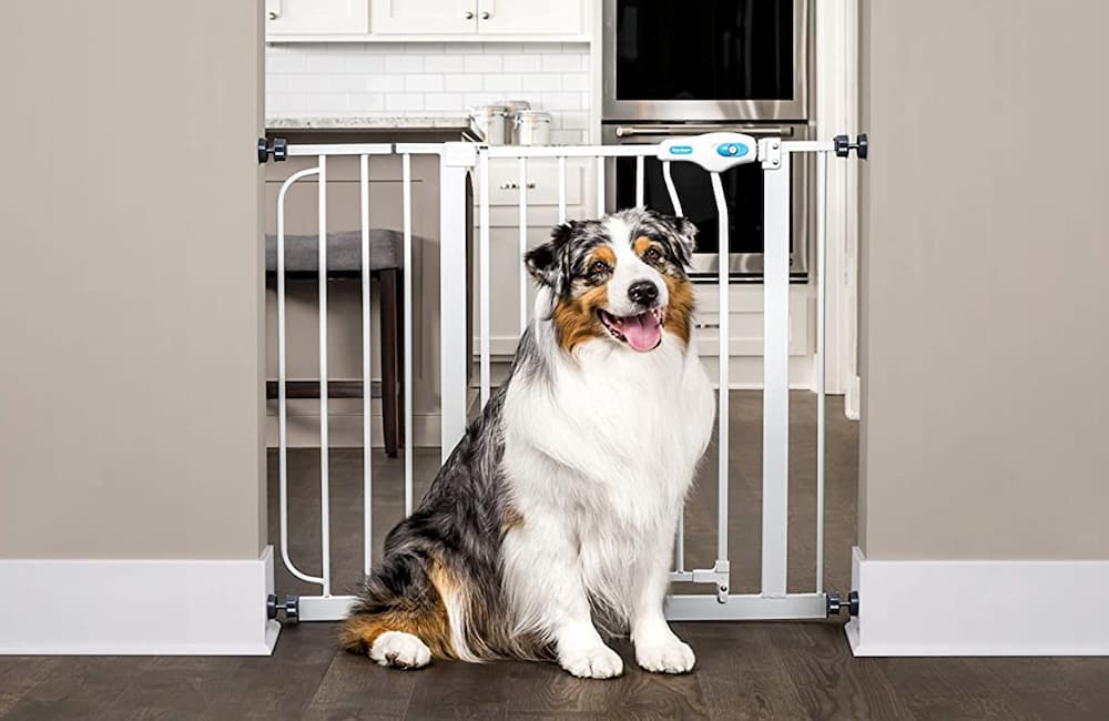 Carlson pressure mounted dog gate