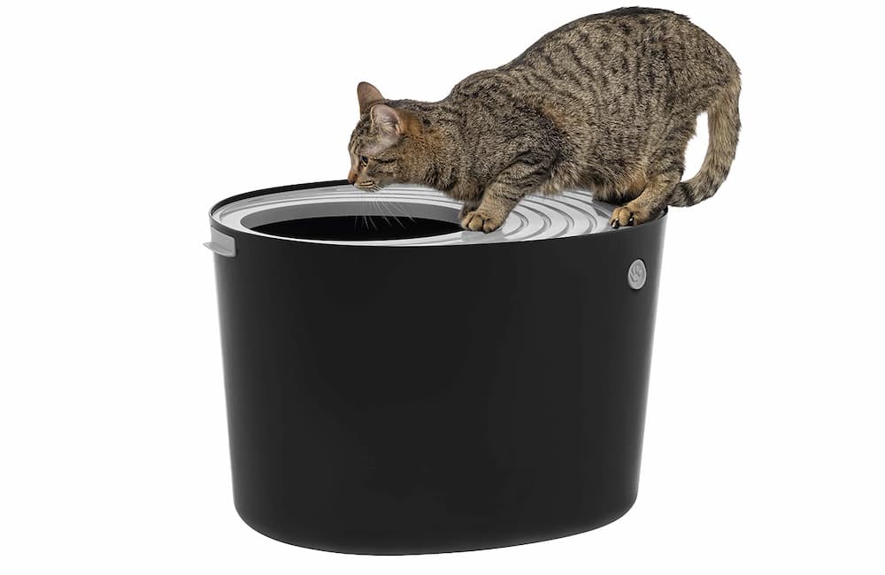 Iris top entry litter boxes