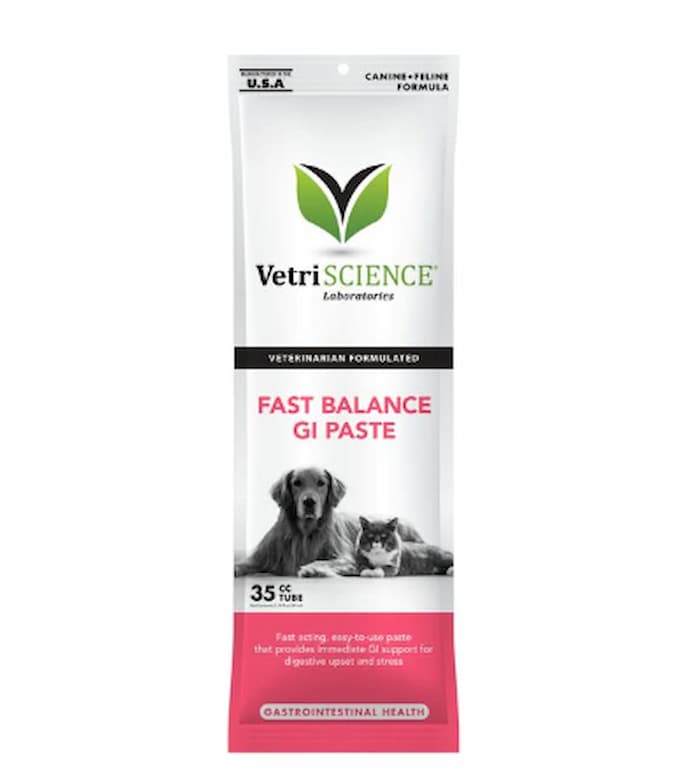 VetriScience Fast Balance GI Paste