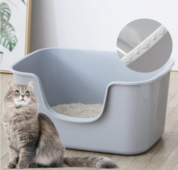 Pretty cat outside high-sided litter boxes