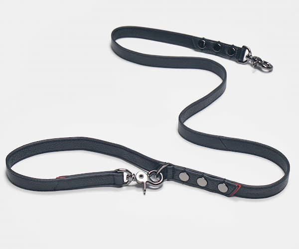 heavy Hammitt leather leash for dogs