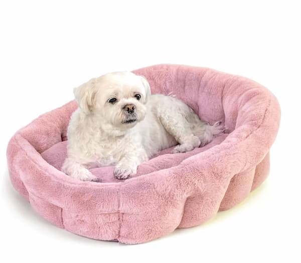 dog bed for cuddling