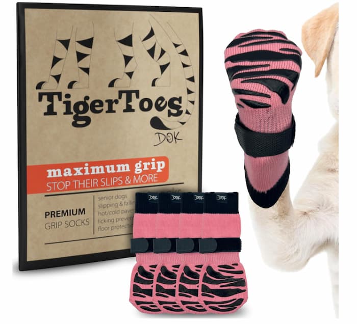 Tiger Paws socks for dogs