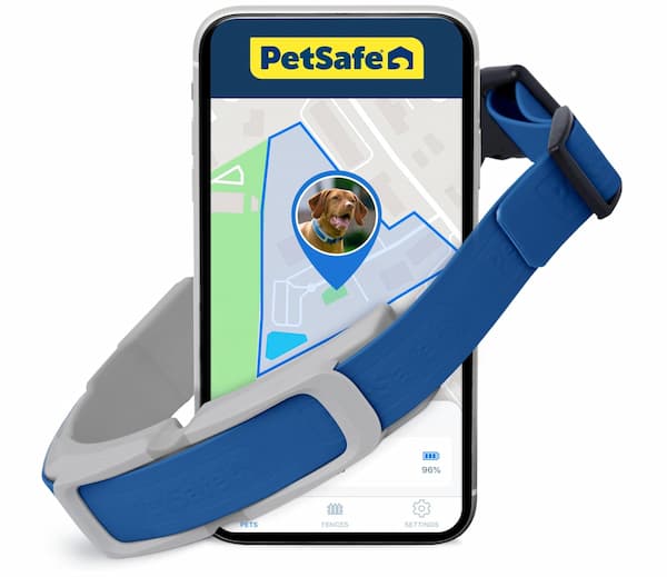 best dog gps collar tracking