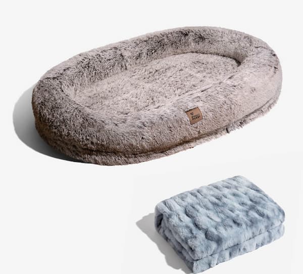 bed and blanket set for dogs