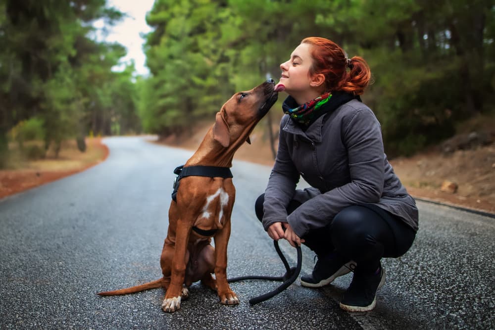 8 Best Custom Dog Shirts to Show Your Love For Your Pup