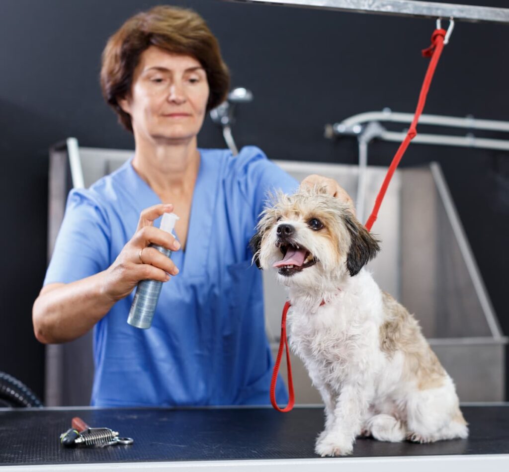 woman sprays perfumes on dog