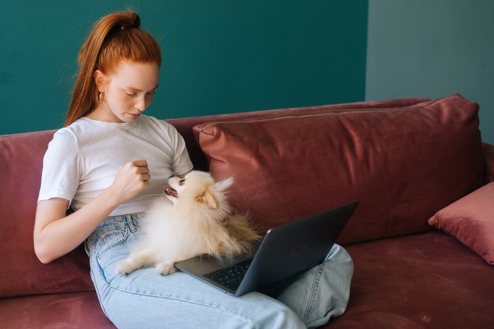 Watching grooming videos with dog on laptop