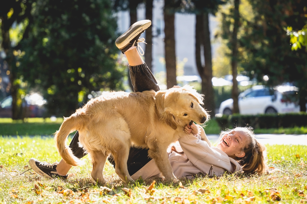 Help! My Dog Lunges at My Face When We Play