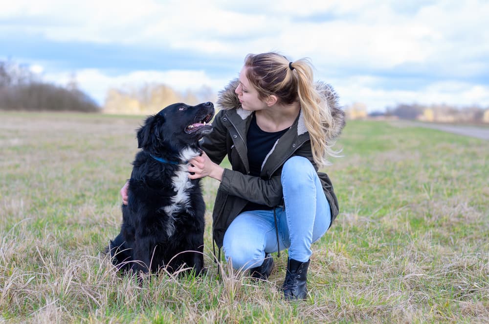 Dog and owner looking at each other waiting for results of dog dna tests