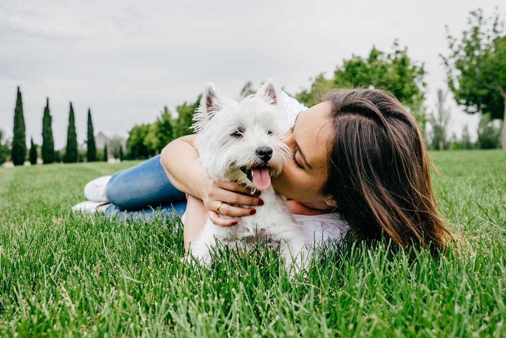 Owner and dog being snuggled together in the garden