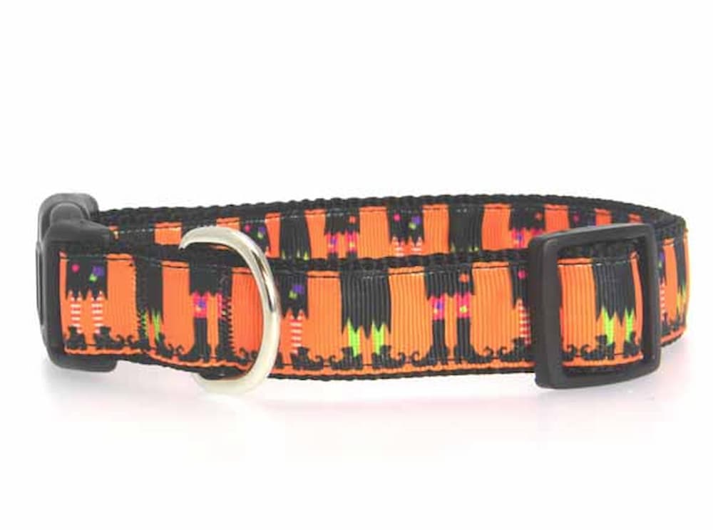 Halloween dog collar