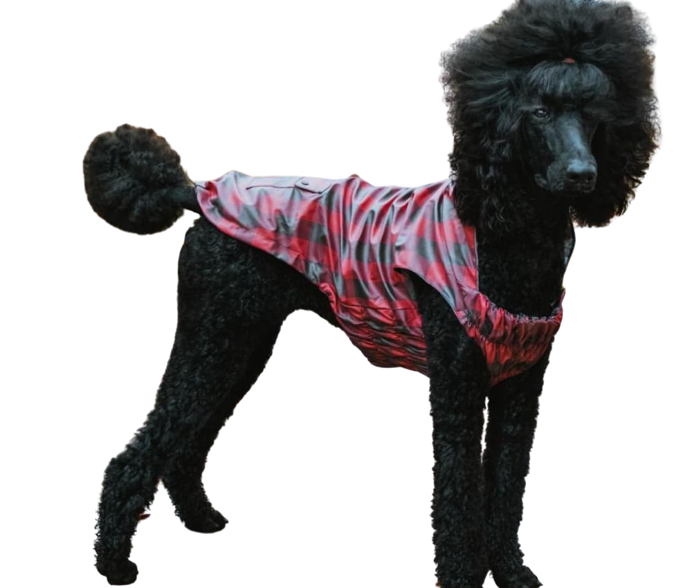 The Worthy Dog London Dog Raincoat